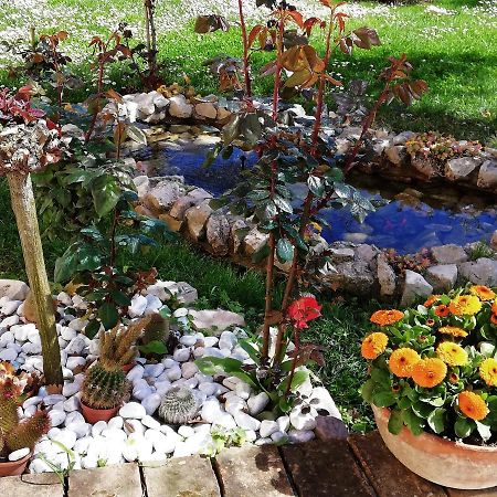 مبيت وإفطار سيرولو La Ginestra المظهر الخارجي الصورة